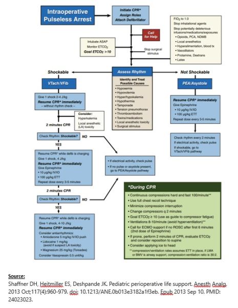 File:PALS Shaffner.jpg